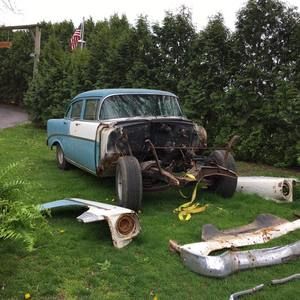 Meet your Posher, Bailey